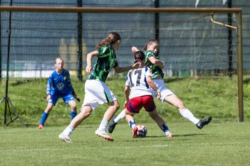 Bild 122 - wBJ Hamburger SV - VfL Wolfsburg : Ergebnis: 5:1